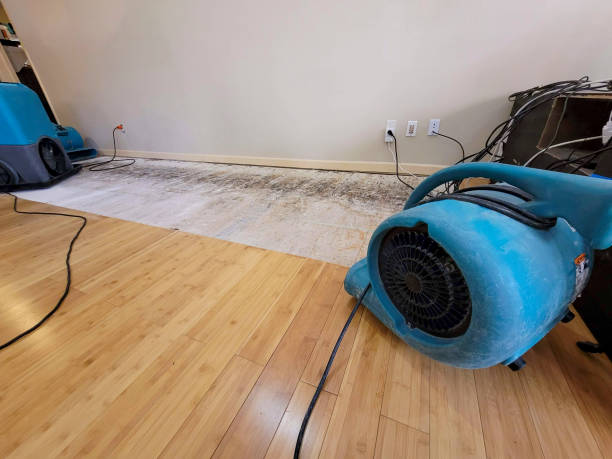 Professional Flood Damage Cleanup technician working in Union City, NJ